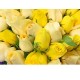 50 Stems Mix Color Roses Bouquet