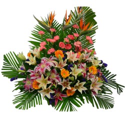 Congratulations flowers arrangement