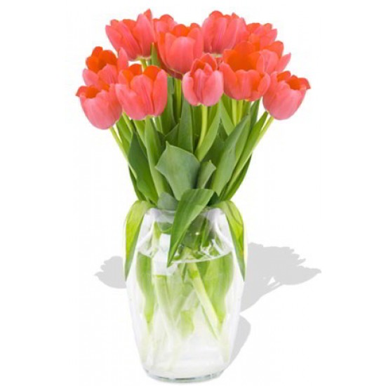 12 Tulips Bouquet
